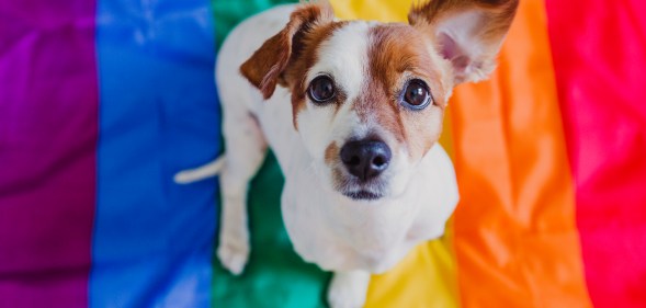 Pets have been found to improve the mental health of pet owners. (Getty)