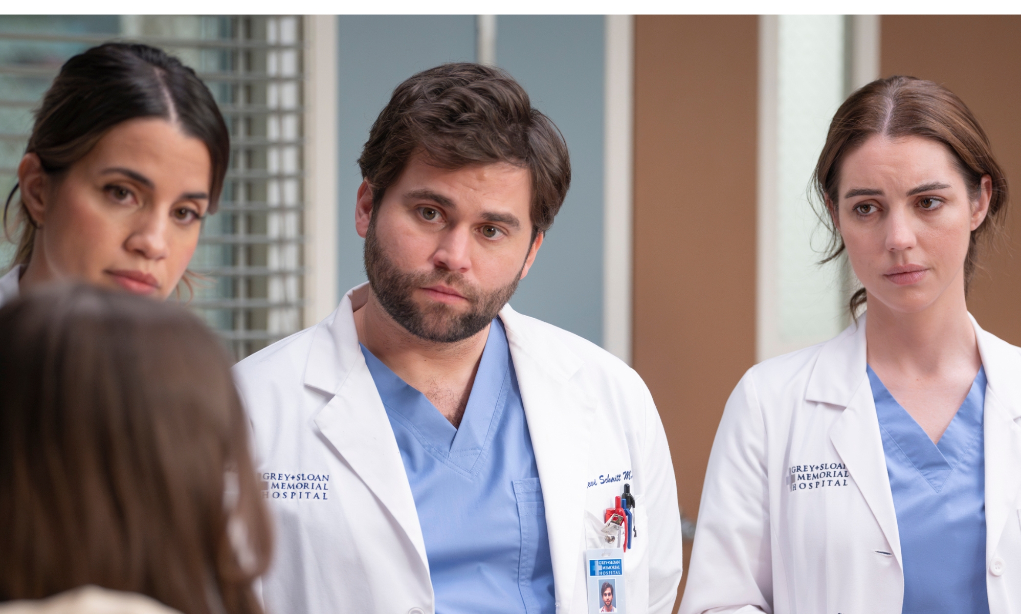 Grey's Anatomy casts actor in new gay hospital chaplain role