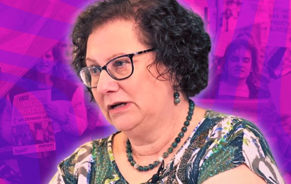 A picture of Dr Hilary Cass edited into a picture of protestors.