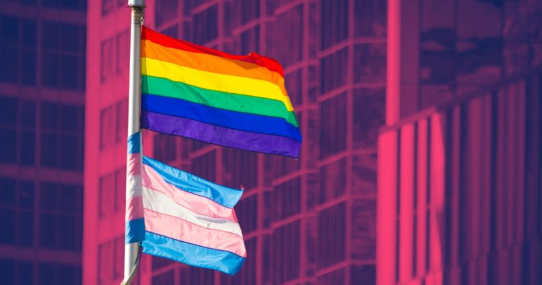 This is an image of the Pride flag flying above the Trans Pride flag outside an office building. The background has been altered to look fuschia.