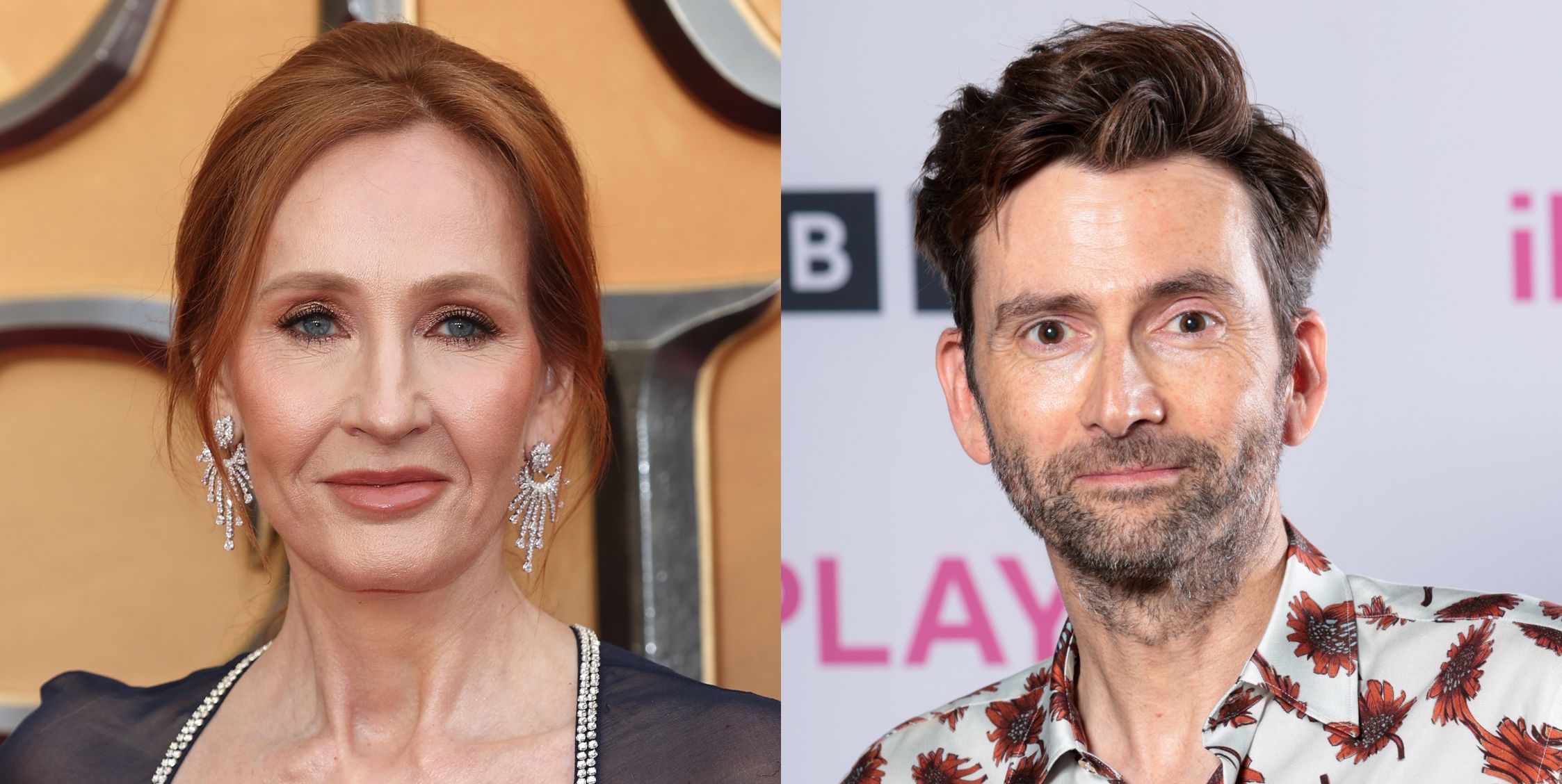 Detailed Jk Rowling Against David Tennant Moment for Desktop Detailed Jk Rowling Against David Tennant Moment for Desktop