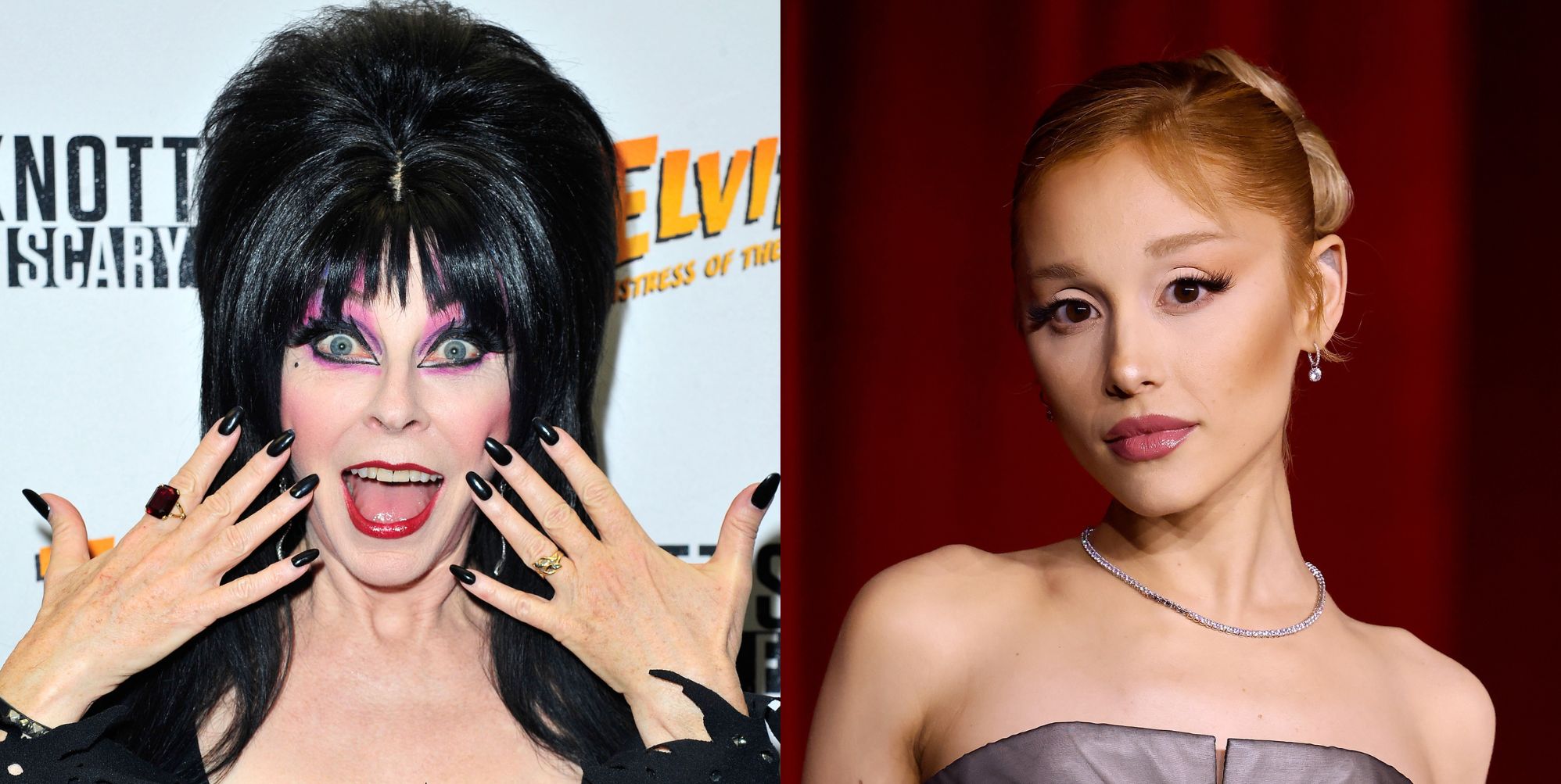 Ariana Grande says sorry after Elvira calls her 'worst' celeb meeting, image size:1996x1003