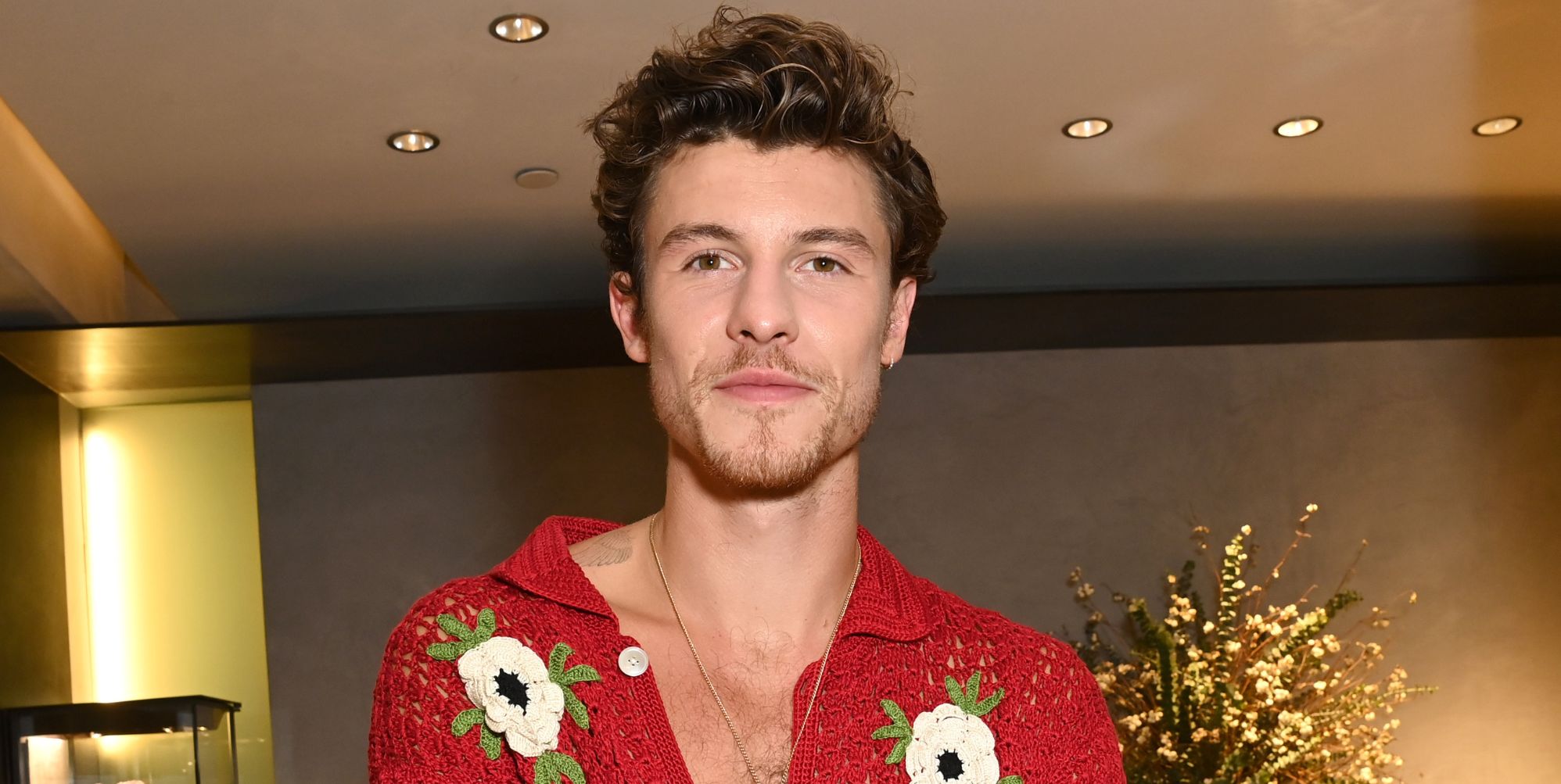 Shawn Mendes responds to gay rumours in The Mountain lyrics