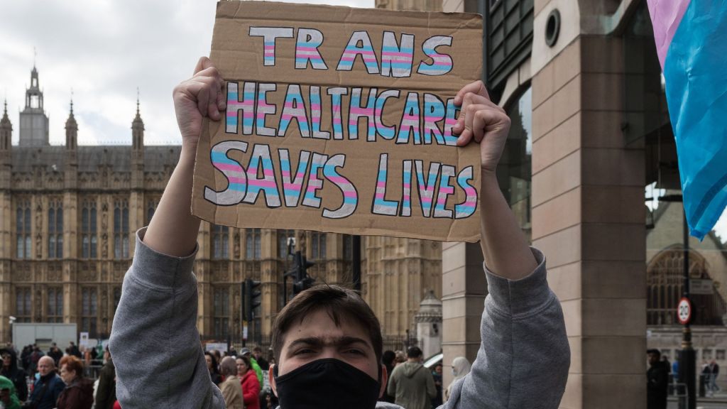 Protester in London holds up a placard reading "trans healthcare saves lives"