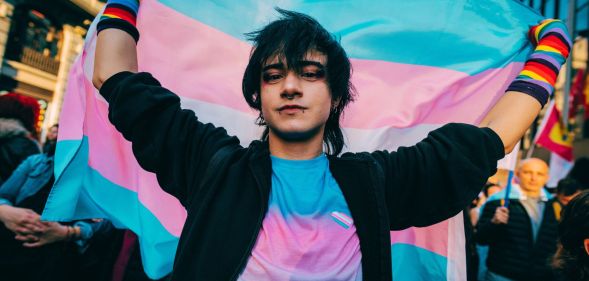A person holding a trans flag.