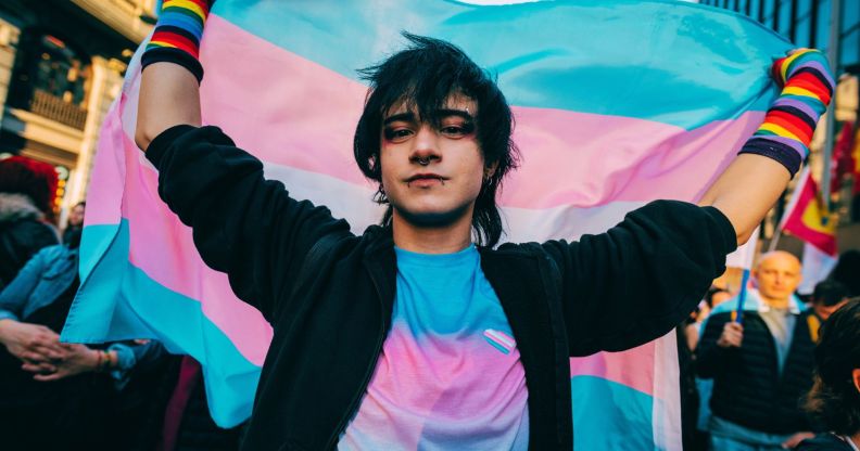 A person holding a trans flag.