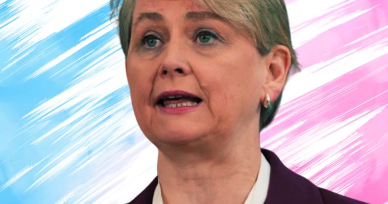 An edited picture of Yvette Cooper in front of a trans background.