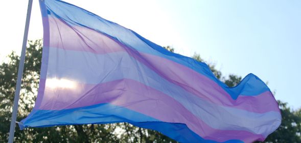 Image of a trans Pride flag