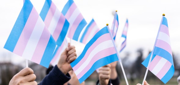 Many people holding transgender flags high in the sky