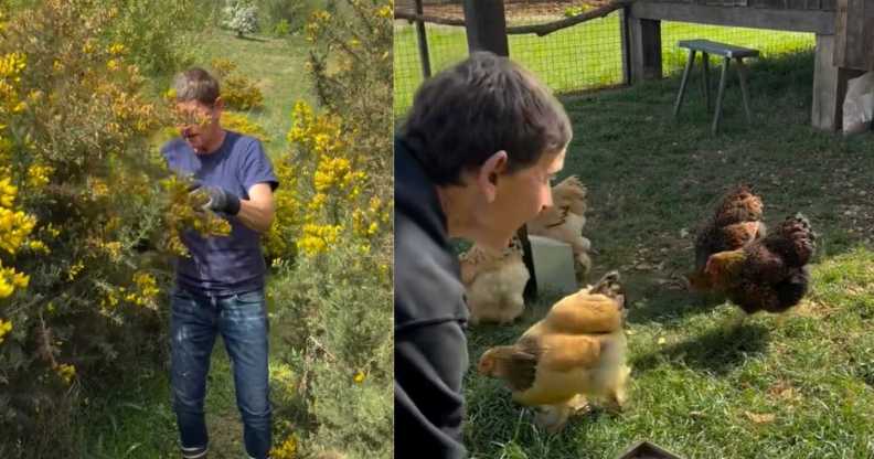 Ellen DeGeneres has shared a glimpse into her farm life following her move to the UK.