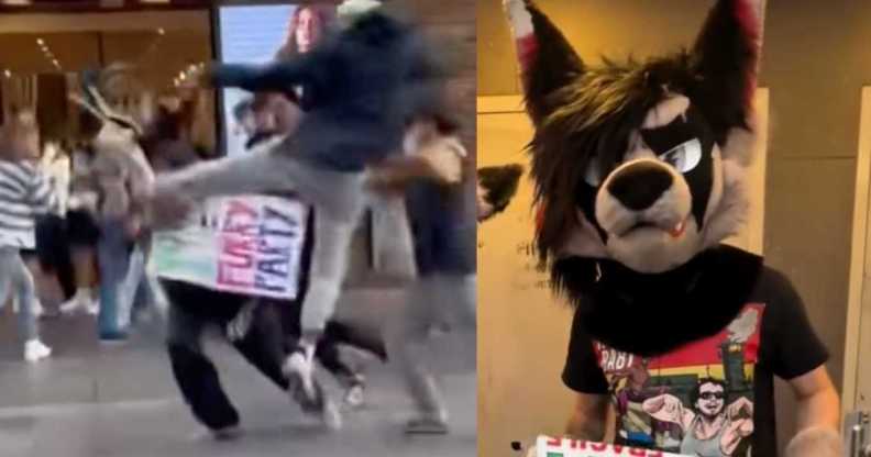 A man wears a furry costume and is attacked.