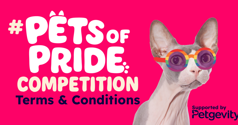 The full terms and conditions for the 'Pets of Pride' social media competition supported by Petgevity. (PinkNews)