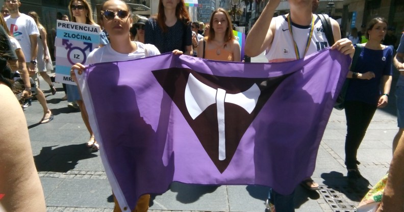 Labrys Pride flag being held by two people