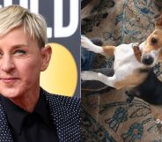 Ellen DeGeneres has announced the death of her beloved dog