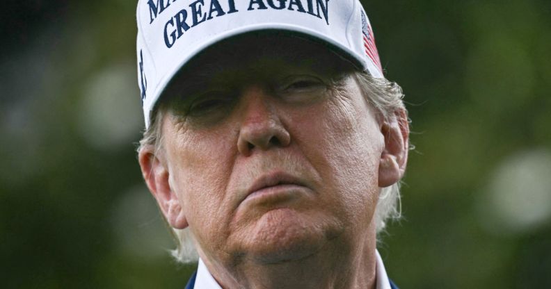 A portrait picture of Donald Trump.