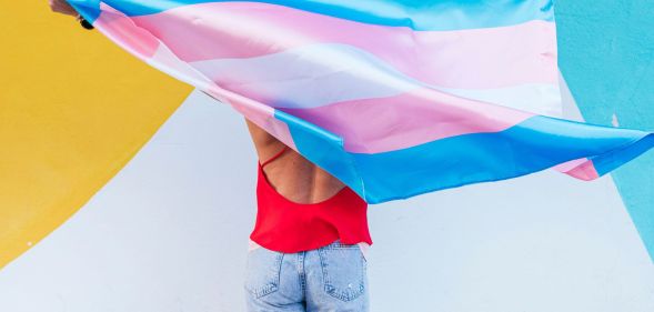 A person holding a trans flag.