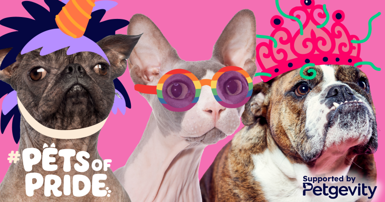 Pets of Pride, supported by Petgevity
