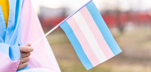 A person holding a trans flag.