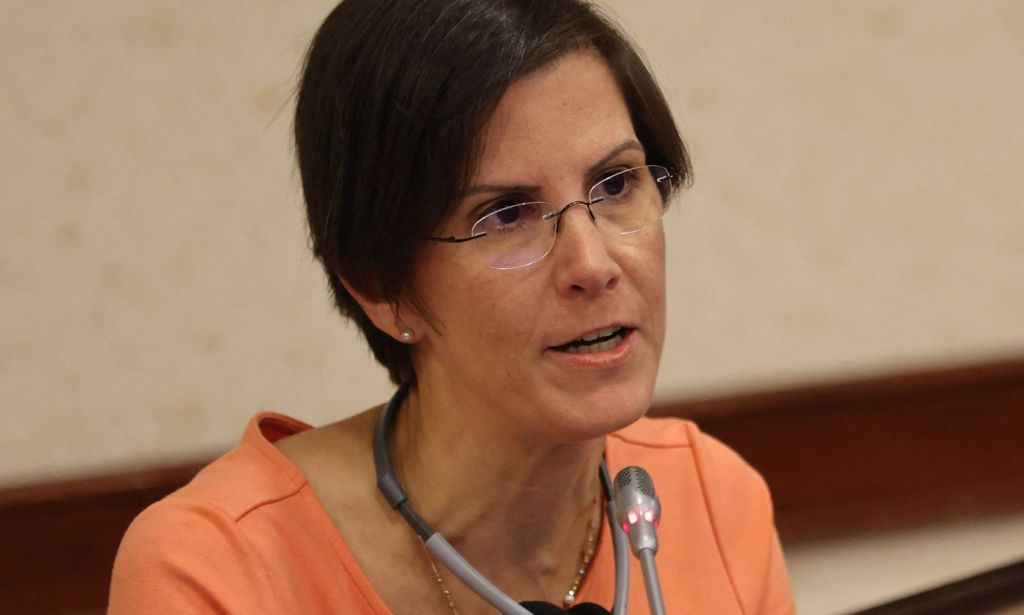 UN special rapporteur on violence against women and girls, Reem Alsalem.