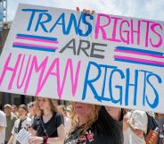 Protester holds up a sign that reads "trans rights are human rights"