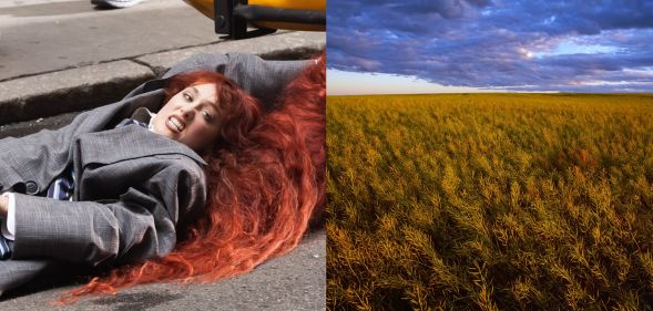 On the left, Chappell Roan looks angry as she lies on the ground attached to a yellow taxi cab. On the right, A nearly mature canola field at sunset, post bloom with pods beginning to dry out / near Ponteix, Saskatchewan, Canada