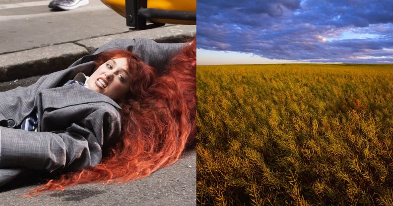On the left, Chappell Roan looks angry as she lies on the ground attached to a yellow taxi cab. On the right, A nearly mature canola field at sunset, post bloom with pods beginning to dry out / near Ponteix, Saskatchewan, Canada