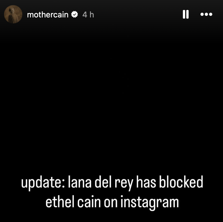 Ethel Cain's Instagram Story.