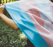 A person holding a trans flag.