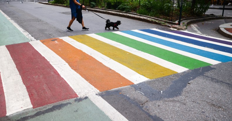 Rainbowa zebra crossing