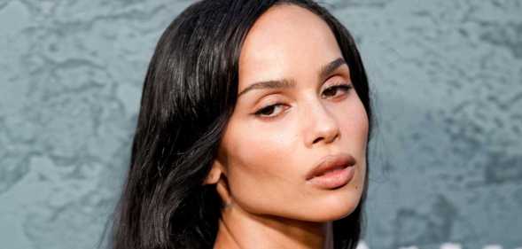 Zoë Kravitz has called out the homophobia present in Friends