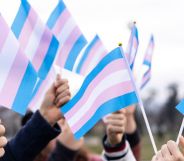 A group of people holding trans flags.