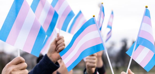 A group of people holding trans flags.