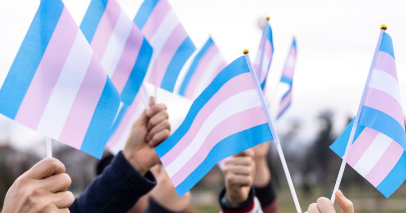 A group of people holding trans flags.