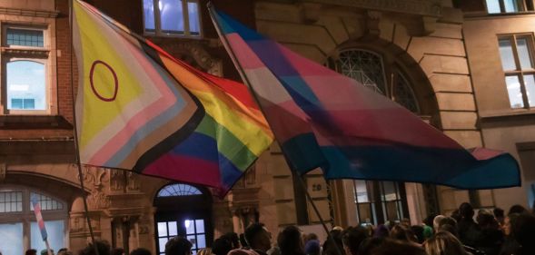A group of protestors holding LGBTQ+ Pride flags.