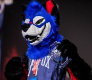 SonicFox in their blue furry suit.