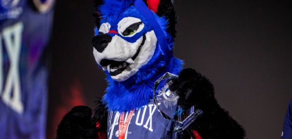 SonicFox in their blue furry suit.
