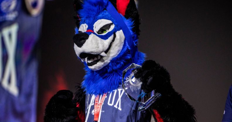 SonicFox in their blue furry suit.
