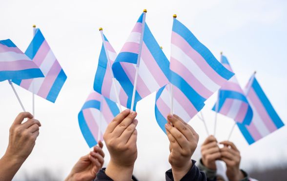 Trans pride flags