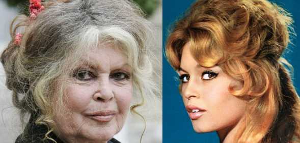 Brigitte Bardot has died at the age of 91