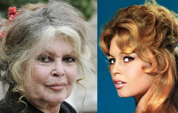 Brigitte Bardot has died at the age of 91