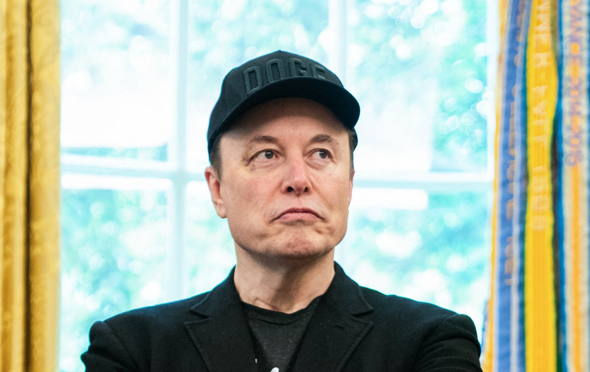 Musk once said humans could change species and everyone's having the same reaction