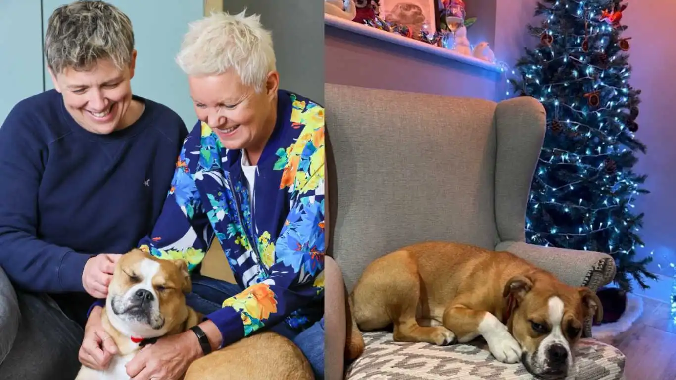 Terrified puppy finds forever home with same-sex couple in time for Christmas