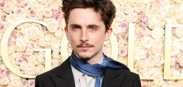 A red-carpet image of Timothée Chalamet wearing a black suit.