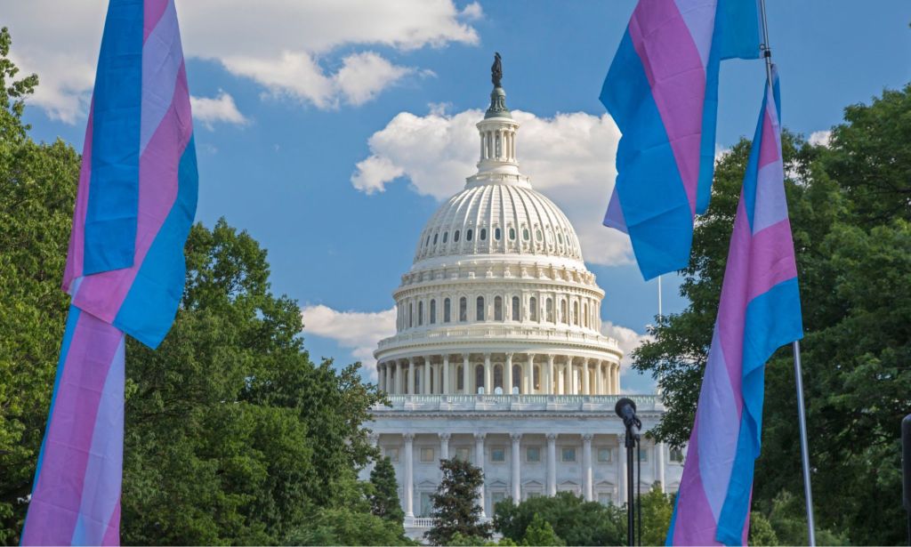 A far-off shot of a set of large trans flags waving nearby the US capitol building.