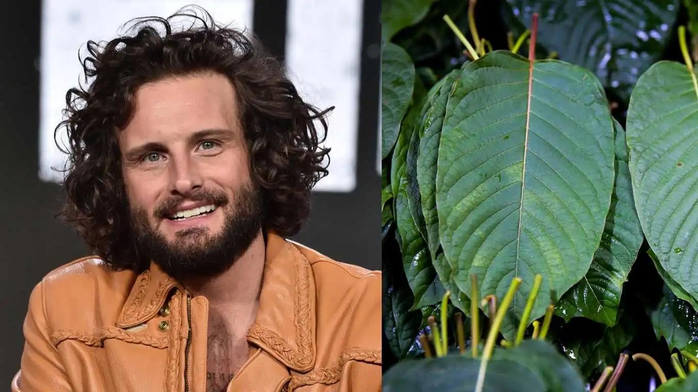 Nico Tortorella credits plant kratom for 11 years sobriety - but what is it?
