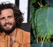 Nico Tortorella credited the plant Kratom for his 11 years of sobriety.