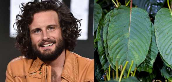 Nico Tortorella credited the plant Kratom for his 11 years of sobriety.