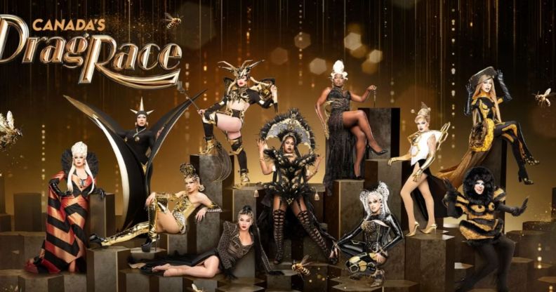 Canada's Drag Race promo image for season five featuring all the queens in bee-themed outfits.