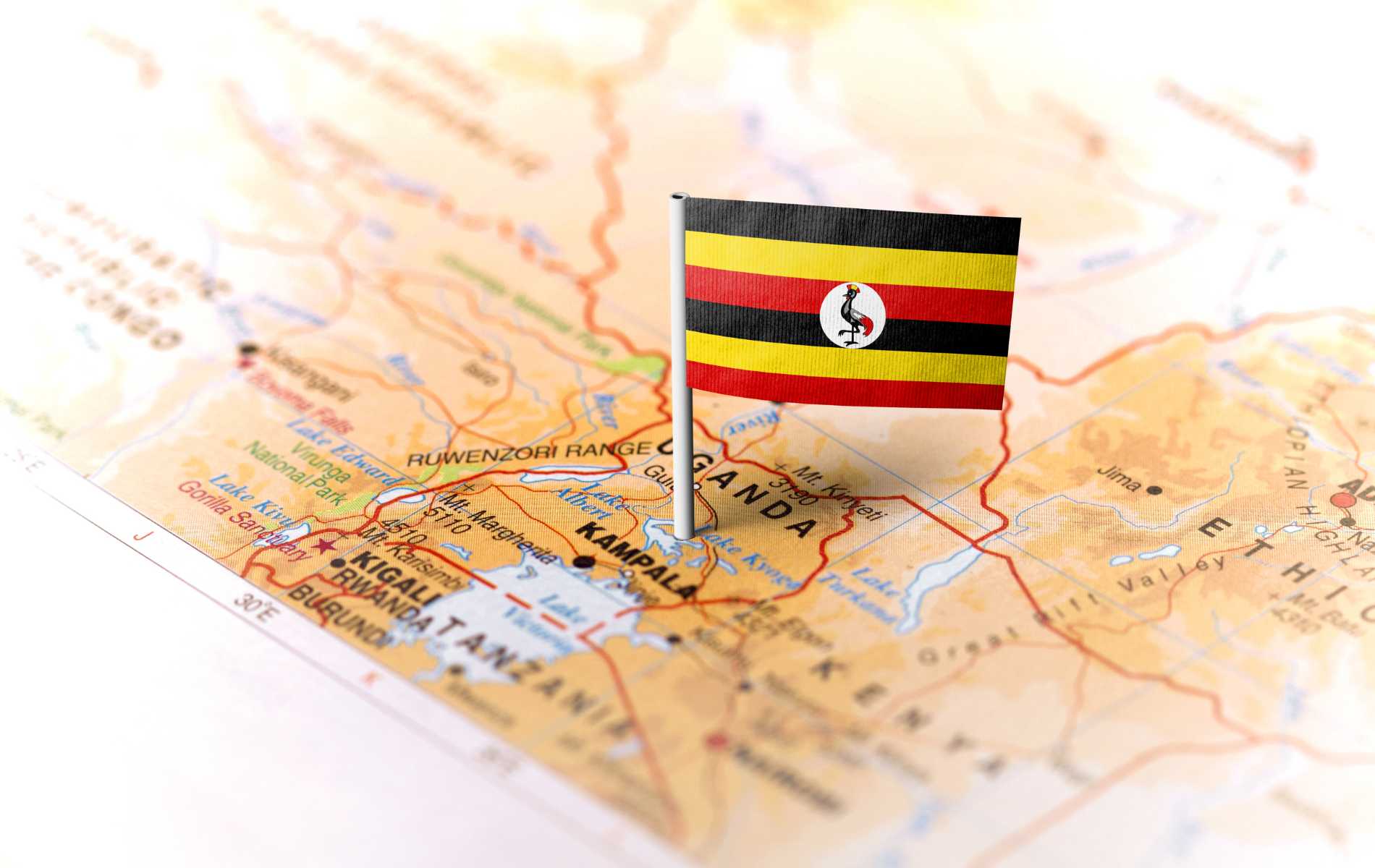 Human rights organisation ordered to shut down days before election