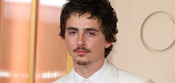 Timothée Chalamet headshot, wearing a full white suit